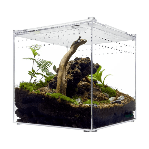 Terrarium enclosure sales