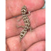 Viper Gecko:Jungle Bob's Reptile World