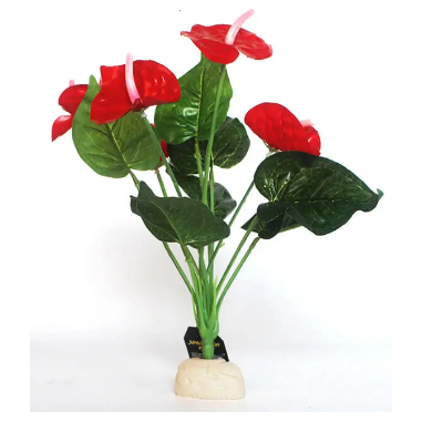 anthurium jungle bush plant Jungle Bob Pedestal Terrarium Plant 13" Anthurium Bush — Jungle Bobs Reptile World