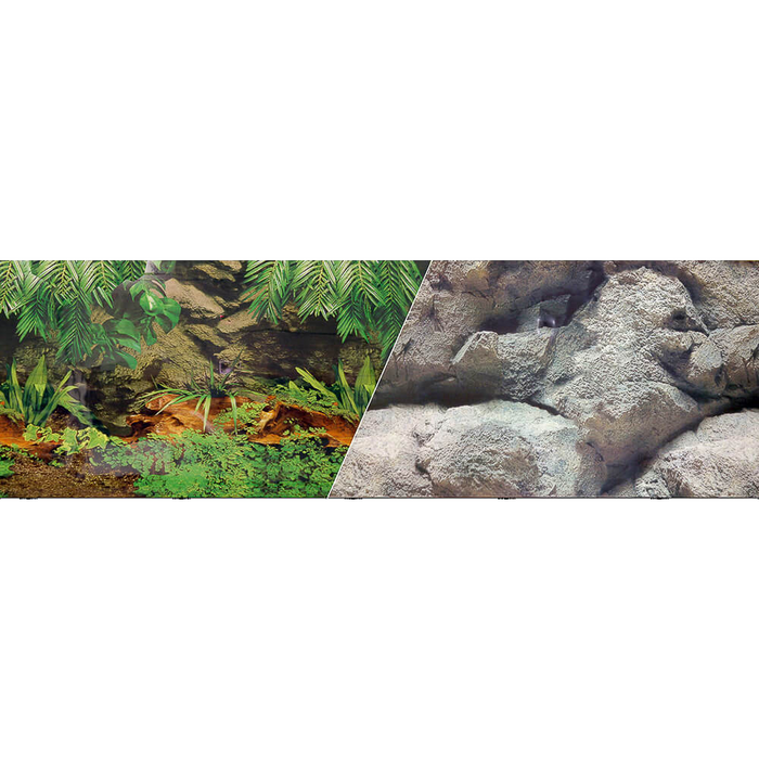 Rainforest/Freshwater Paper Background 36x18":Jungle Bob's Reptile World