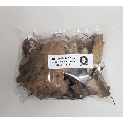 Dried Black Oak Leaves 0.5 oz bag Jungle Bob:Jungle Bob's Reptile World
