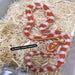 Albino Corn Snake (Baby):Jungle Bob's Reptile World
