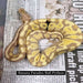 Banana Paradox Ball Python (Baby):Jungle Bob's Reptile World