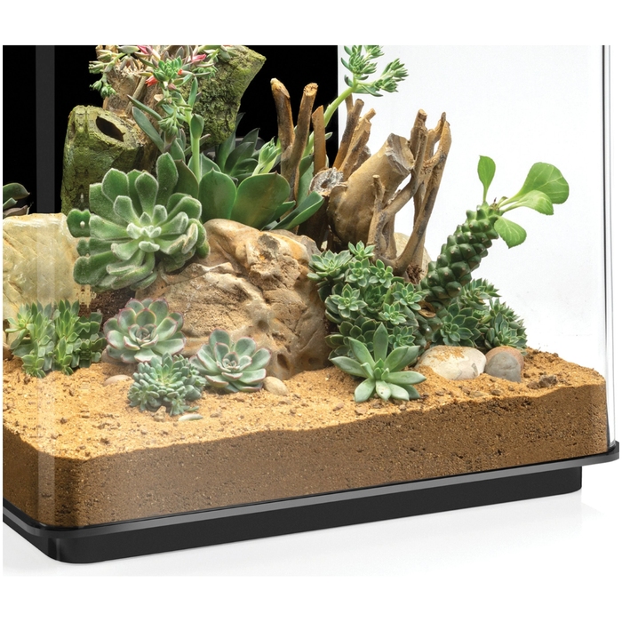 biOrb Desert Sand Substrate:Jungle Bob's Reptile World