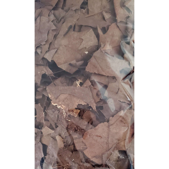 Dried Black Oak Leaves Bag 5 oz. Jungle Bob:Jungle Bob's Reptile World