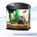 Aqueon LED MiniBow Kit with SmartClean Technology 1 Gallon:Jungle Bob's Reptile World
