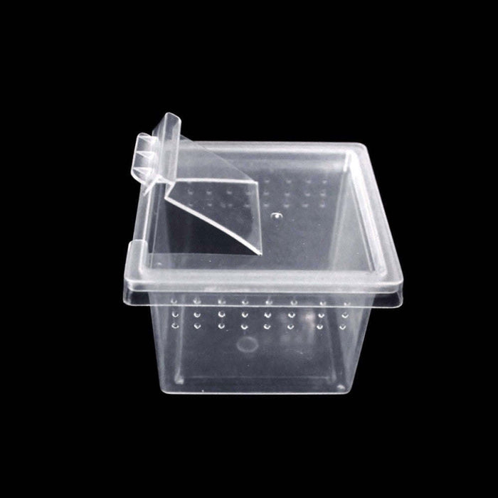 Showcase Boxes - Plastic Boxes, Clear Plastic Boxes : TAP Plastics