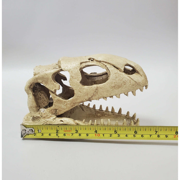 OMEM Natural Reptile Decorative Dinosaur Skull Hideaway - Resin Cave For Terrariums (Size M)