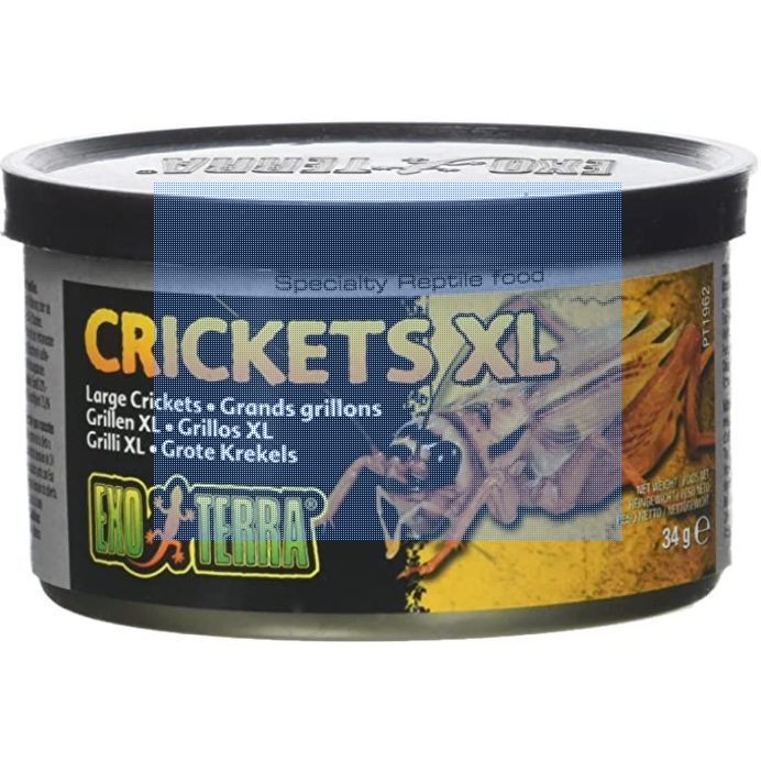 Exo Terra Canned Insects and Feeders:Jungle Bob's Reptile World