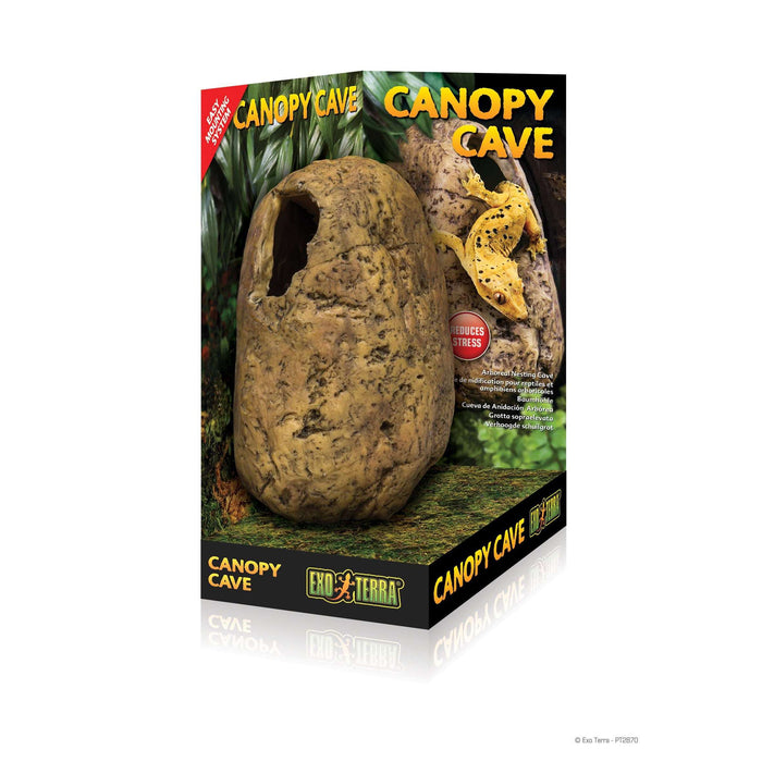 Exo Terra Canopy Cave:Jungle Bob's Reptile World