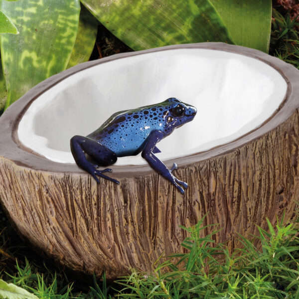 Exo terra Coconut Water Dish:Jungle Bob's Reptile World