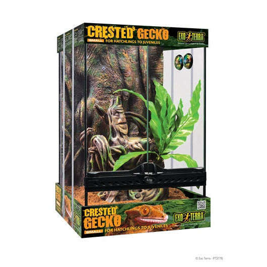 Exo Terra Crested Gecko Kit Small -STORE PICK UP ONLY!:Jungle Bob's Reptile World