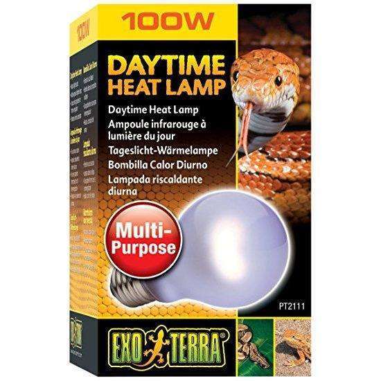 Exo Terra Daytime Heat Lamp Bulbs for Reptile Enclosures:Jungle Bob's Reptile World