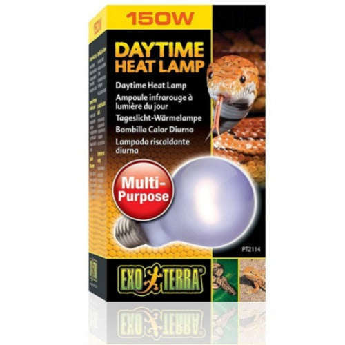 Exo Terra Daytime Heat Lamp Bulbs for Reptile Enclosures:Jungle Bob's Reptile World