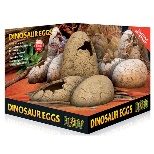 Exo Terra Dinosaur Egg Fossil Hide:Jungle Bob's Reptile World