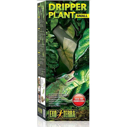 Exo Terra Dripper Plant:Jungle Bob's Reptile World