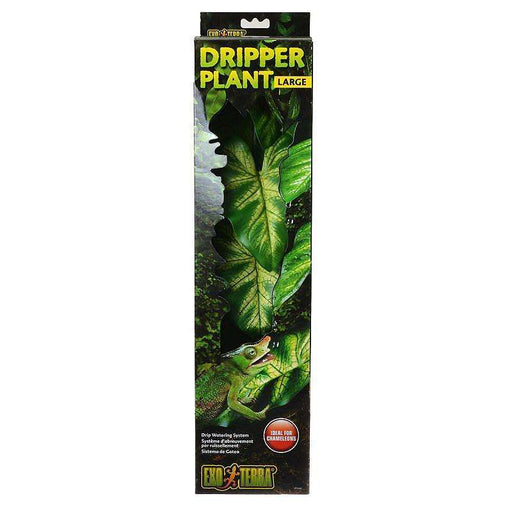 Exo Terra Dripper Plant:Jungle Bob's Reptile World