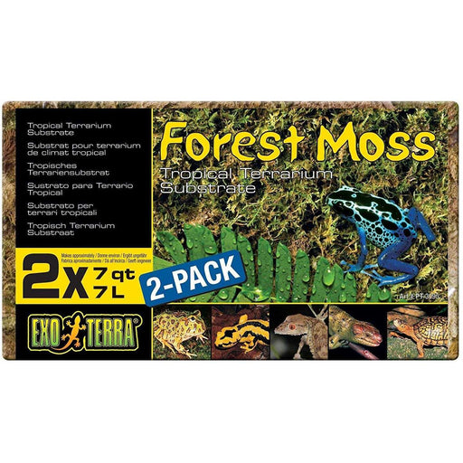 Exo Terra Forest Plume Moss 7 QT, 2-pack:Jungle Bob's Reptile World