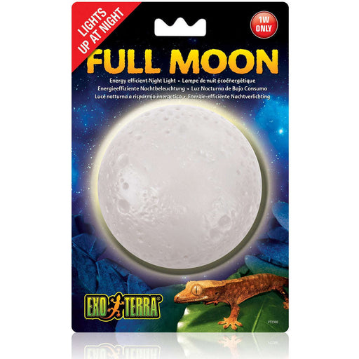 Exo Terra Full Moon Night Light:Jungle Bob's Reptile World