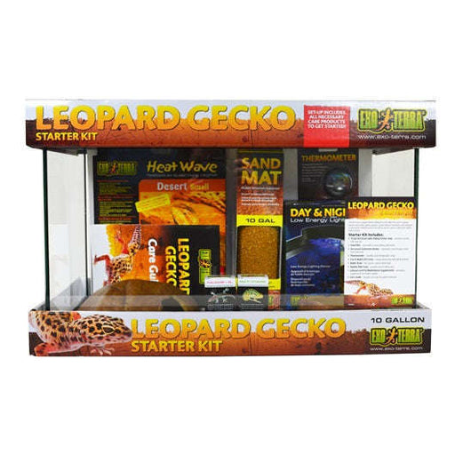 Exo Terra Leopard Gecko Starter Kit 10G:Jungle Bob's Reptile World