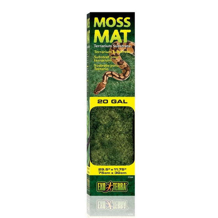 Exo Terra Moss Mat:Jungle Bob's Reptile World