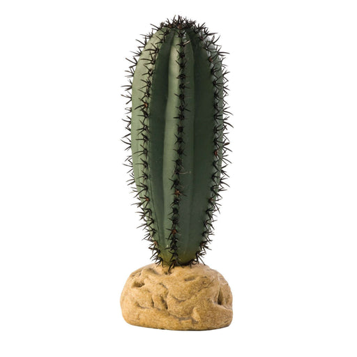 Exo Terra Saguaro Cactus Plant:Jungle Bob's Reptile World