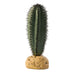 Exo Terra Saguaro Cactus Plant:Jungle Bob's Reptile World