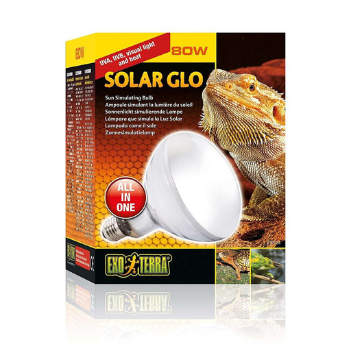 Exo Terra Solar-Glo Self Ballasted Mercury Vapor Heat and UVB Lamp:Jungle Bob's Reptile World