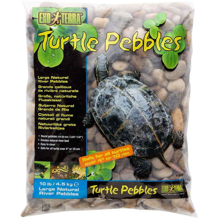 Exo Terra Turtle Pebbles Large 10 lb.:Jungle Bob's Reptile World