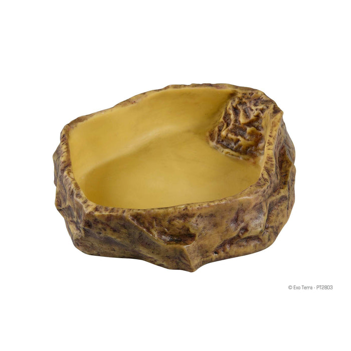 Exo-Terra Water Dish X-Large:Jungle Bob's Reptile World