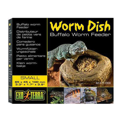 Exo Terra Worm Dish Small:Jungle Bob's Reptile World