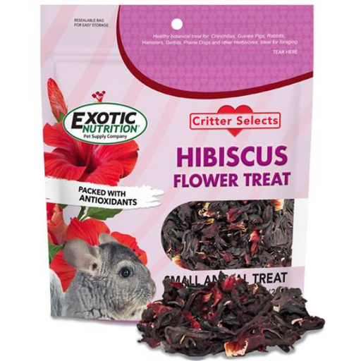 Exotic Nutrition Hibiscus Flower Treat for Small Animals:Jungle Bob's Reptile World