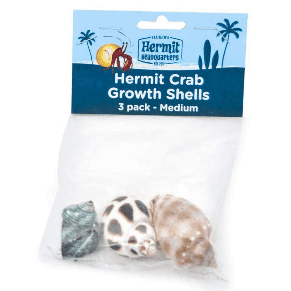 Hermit crab supplies near me hot sale