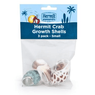 Hermit crab sales supplies near me