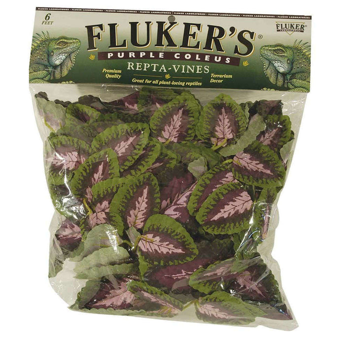 Flukers Purple Coleus Vine 6 Ft.:Jungle Bob's Reptile World
