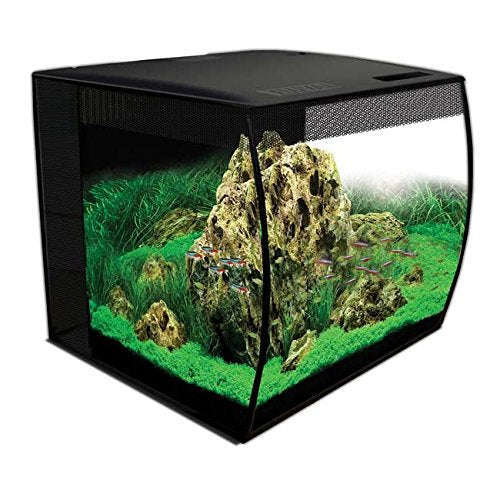 Fluval Flex 57L Aquarium Kit Black, 15G:Jungle Bob's Reptile World