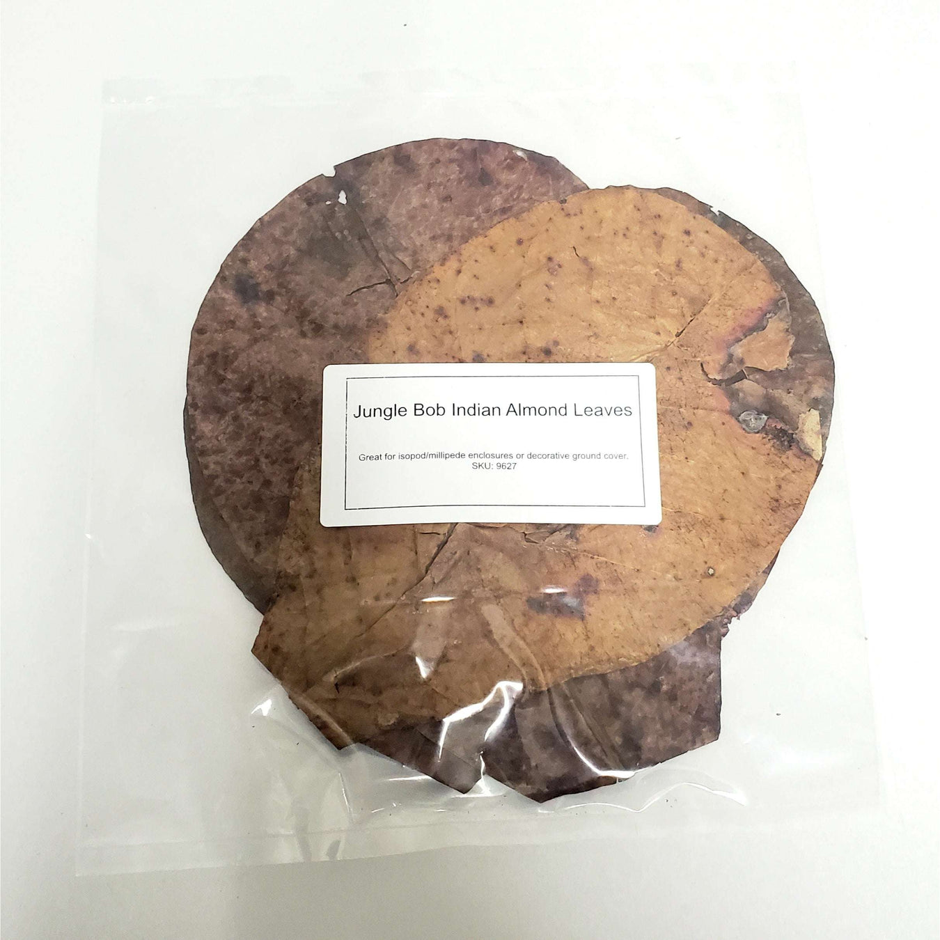 Jungle Bob Indian Almond Leaves:Jungle Bob's Reptile World