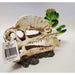 Hornbill Dinosaur Skull Decoration by Jungle Bob 6.5" x 3" x 5.5":Jungle Bob's Reptile World