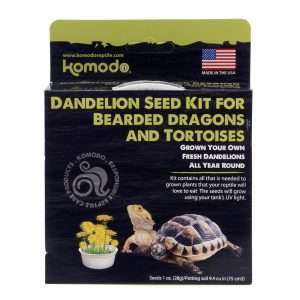 Komodo Grow your Own Dandelion Treat:Jungle Bob's Reptile World