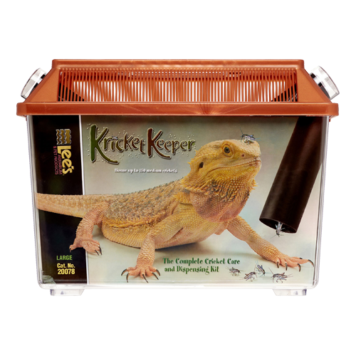 Lee's Kricket Keeper Large:Jungle Bob's Reptile World