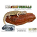 MagNaturals Magnetic Rock Ledge:Jungle Bob's Reptile World