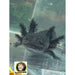 Melanoid Axolotl:Jungle Bob's Reptile World