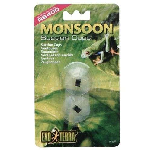 Monsoon Suction Cups:Jungle Bob's Reptile World