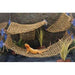 Penn Plax Lizard Lounger Hammock Large:Jungle Bob's Reptile World