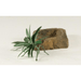 Universal Rocks Decorative Rock Water Bowl 7.5"x5"x1 3/4":Jungle Bob's Reptile World