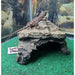 Rock Cave by Jungle Bob 6"x5.5"x4":Jungle Bob's Reptile World
