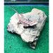 Rock Cave by Jungle Bob 6"x5.5"x4":Jungle Bob's Reptile World