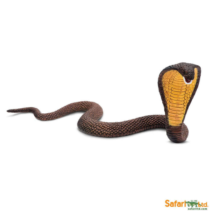 Toy Cobra Figurine by Safari Ltd.:Jungle Bob's Reptile World