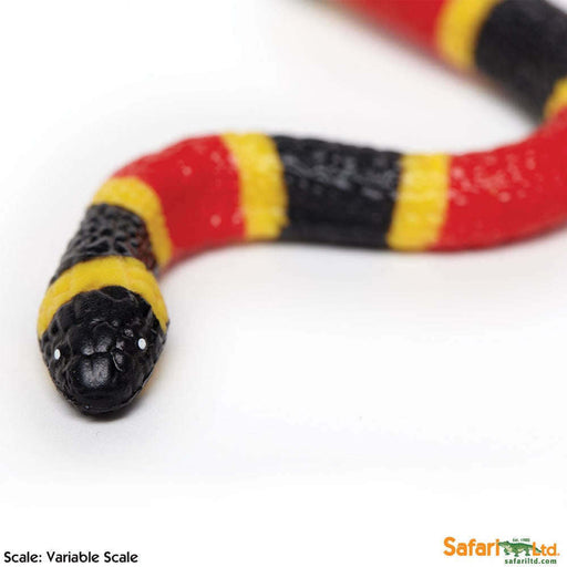 Toy Coral Snake Small Baby Figurine by Safari Ltd.:Jungle Bob's Reptile World