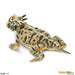 Toy Horned Lizard Figurine by Safari Ltd.:Jungle Bob's Reptile World